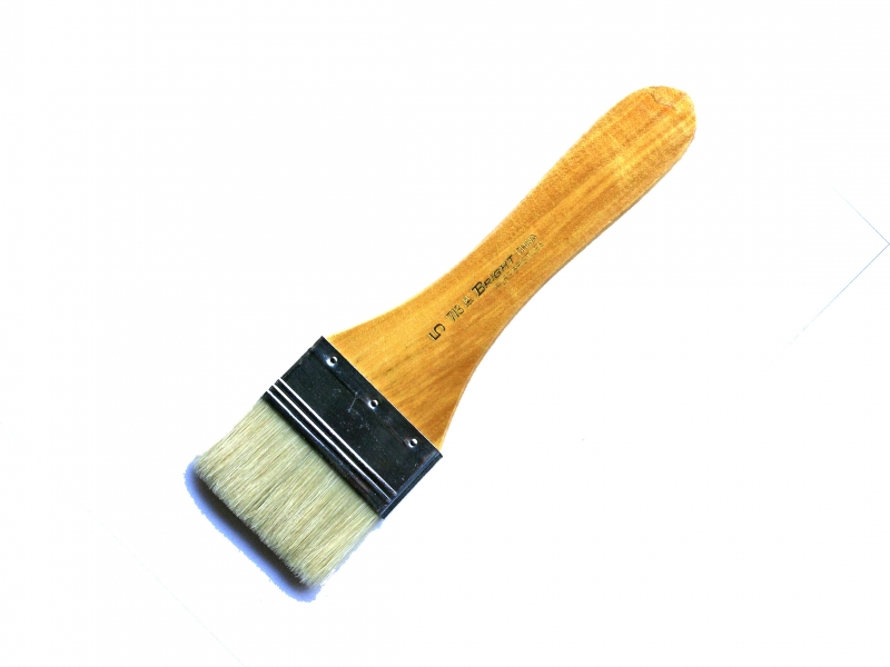 # 5 Bright Pure Bristle Background Wash Brush