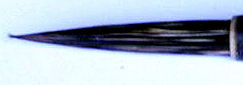 山馬筆 Small Mountain Horse Brush with black bamboo handle - Image 2